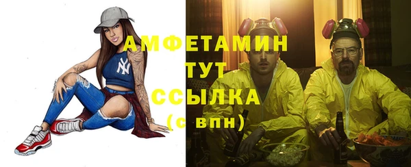 прущие грибы Белокуриха