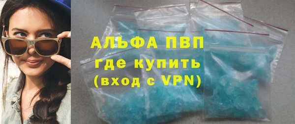прущие грибы Белокуриха