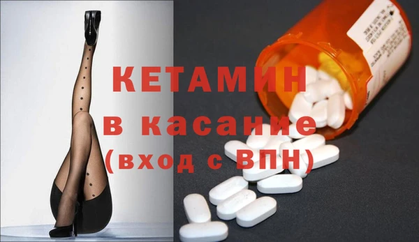 прущие грибы Белокуриха