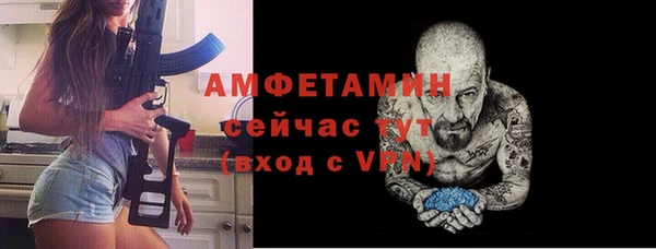 прущие грибы Белокуриха