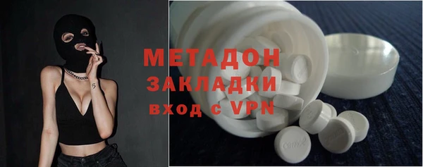 прущие грибы Белокуриха