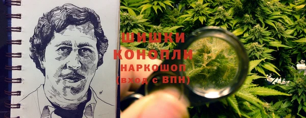 прущие грибы Белокуриха