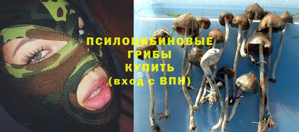 спайс Беломорск