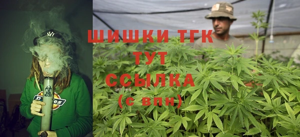 гидра Богородск