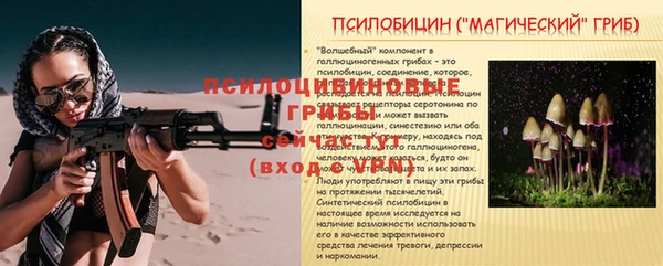 гидра Белоозёрский