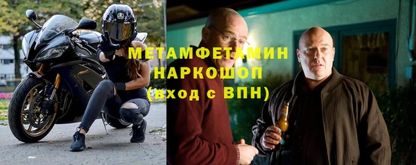 прущие грибы Белокуриха