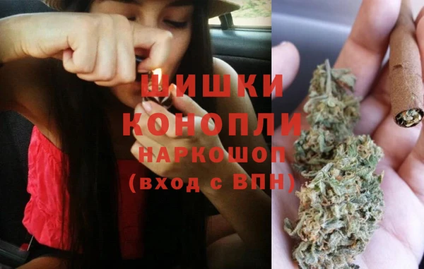 гидра Белоозёрский