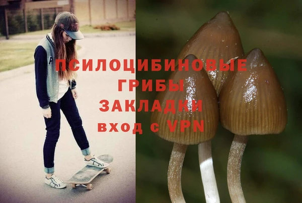 спайс Беломорск